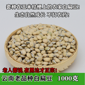 2024年 云南药食用白扁豆农家老品种有黑边生白扁豆发芽1000g包邮
