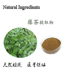 天然植物提取粉末 藤茶提取物 10:1 100g  新品包邮