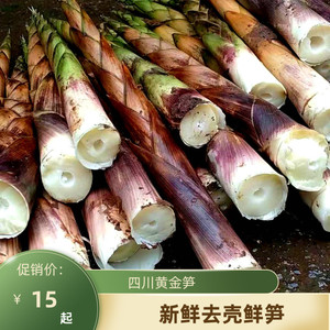 四川黄金笋去壳冷藏高山野生小竹笋新鲜春笋现挖嫩笋尖小笋子时令