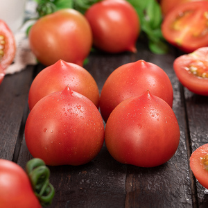 现摘春桃柿子圣女果包邮5春桃小番茄水果孕妇新鲜当季春桃西红柿