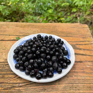 聚宝堂大药房淘宝中药材 鼠李子500克老鸹眼籽 籽类臭李子鼠李果实