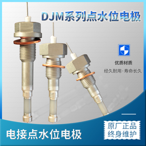 太仓锅炉电接点水位计电极DJM1615-97  87  115