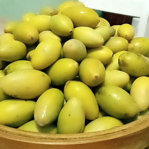 香种原味橄榄新鲜青橄榄现摘现发孕妇水果生橄榄青果潮汕特产500g