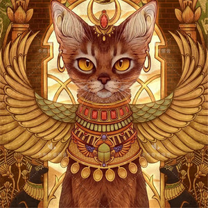 北京猫舍阿比西尼亚猫活体幼猫纯种血统原始色小鹿色宠物猫短毛猫