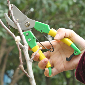剪枝果树修枝剪刀园艺修剪树枝园林省力修花枝剪家用强力剪子神器
