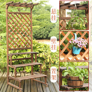 花墙蔷薇花