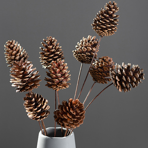 天然松果干花干支花家居装饰摆件创意diy拍摄道具松树果子