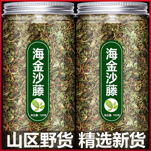 海金沙藤正品野生新鲜茶中药材海金沙草泡水排化结石粉小叶绿茶