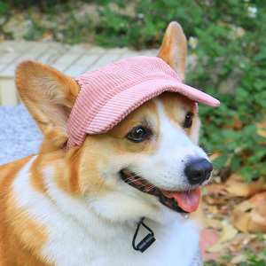 宠物狗狗帽子露耳朵夏小型犬柯基比熊泰迪可爱夏季外出装饰棒球帽