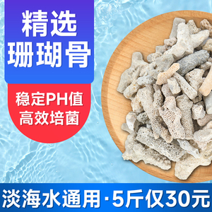 珊瑚石滤材鱼缸底滤净水吸附珊瑚沙培菌鱼池水族珊瑚骨过滤材料