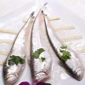 盘锦特产辽河刀鱼毛刀鱼海刀鱼鲜活凤尾鱼新鲜冷冻1.5两4斤包邮
