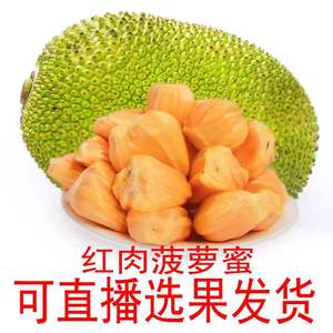 【直播红肉菠萝蜜】6-28斤海南菠萝蜜新鲜水果包邮  红肉菠萝蜜