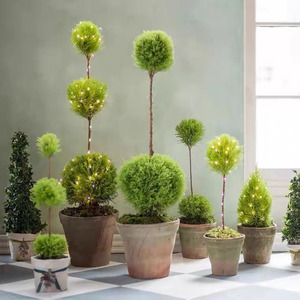 小香松盆栽棒棒糖四季常绿室内阳台书房香冠柏清香耐寒圣诞树包邮