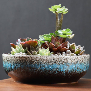 大口径多肉花盆拼盘陶瓷大号特大号盆景造型特价清仓粗陶阳台花盆