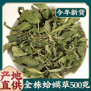 蛤蟆草干的500克 癞蛤蟆草新鲜全株晒干不野生中药材荔枝草青蛙草