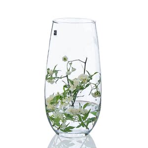玻璃欧式透明摆件客厅米兰花艺2019台面花瓶花器彩色花插餐桌新款