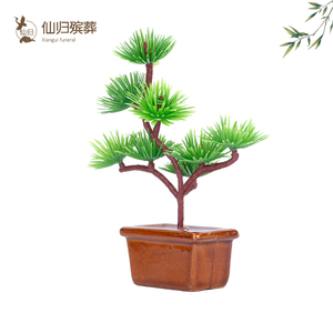 松树盆景墓地