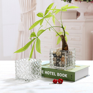 铜钱草绿萝花瓶玻璃透明客厅插花加厚正方形珠点方缸花盆
