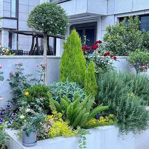 罗曼的花园花镜定制阳台花园庭院花箱整体设计花境定制低维护花境