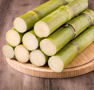 黑皮甘蔗汁多爆甜爽口时令水果现砍现发甘甜好吃黑皮甘蔗7人付款19