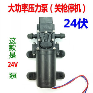 漂傲12V伏农用电动喷雾器水泵隔膜高压自吸洗车水钻打药机泵配件2