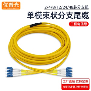 4/8/12芯24芯单模尾纤集束状分支缆LC-SC-FC-ST光纤跳线机房布线