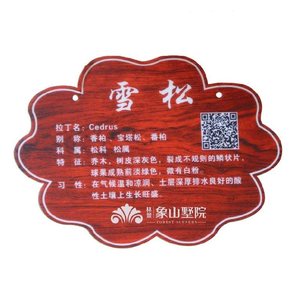 实龙植木树牌铭芒牌果叶树树苗学薇校树爪小紫树树标槐志游牌旅区