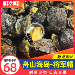 舟山将军鲍海鲜帽斗笠螺石崖小鲍鱼鲜活特大新鲜水产网红厚盏包邮