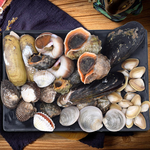 海鲜水产鲜活大贝壳类新鲜