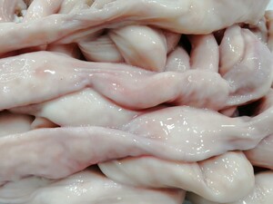 新鲜牛肠清真牛肠子烤牛肠牛大肠牛杂汤牛肉汤烧烤牛肠10斤特惠