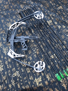 迷你小型复合弓箭滑轮反曲弓玩具弓红外线射鱼弓成人弹射箭器材