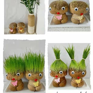 创意草头娃娃迷你小绿植室内盆栽植物抖音同款幼儿园儿童小礼物