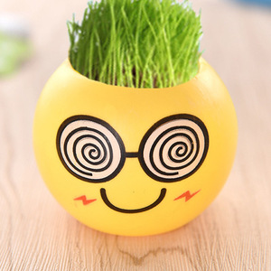 办公室迷你植物桌面小盆栽室内绿植 青草种植表情栽培草头娃娃