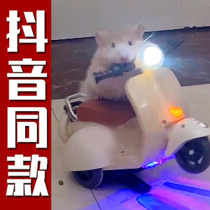 仓鼠特技摩托车玩具炫技旋转棉花娃娃小电动车骑车迷你车抖音网红