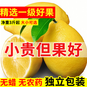 四川安岳黄柠檬一级大果9新鲜水果当季皮薄多汁香水小金桔青柠檬