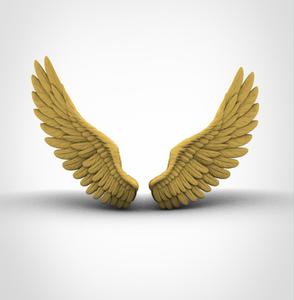 034鹰鸟写实翅膀3d模型下载stl 可自行转换 3dmax犀牛zb/c4d