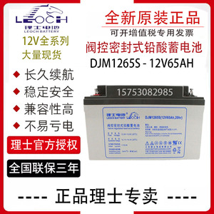 理士蓄电池DJM1265免维护12V65AH铅酸蓄电池UPSEPS电源直流屏专用