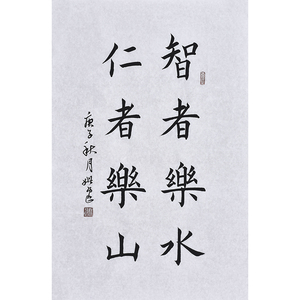 当代实力书法家 姚逸《智者乐山 仁者乐水》客厅装饰手写字画无框