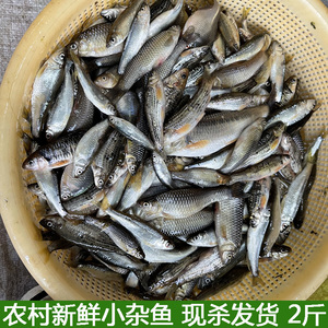 00小熊小马向前冲淘宝土老憨清江野渔小鱼仔鱼肉干