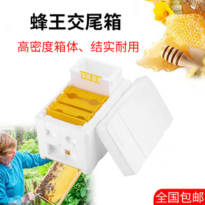 蜜蜂蜂箱中蜂意蜂蜂王交尾箱小型养蜂工具蜂具高密度泡沫育王箱