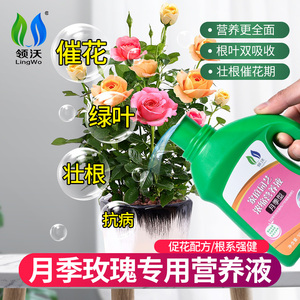 月季花专用肥料营养液玫瑰蔷薇养花卉通用型盆栽浓缩液体催花肥料