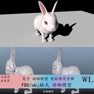 兔子建模教程图片