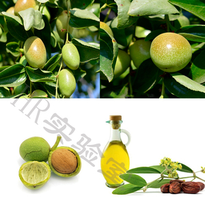 金黄霍霍巴油 荷荷巴油 精制 植物油 hr实验室 克比ml多 美国