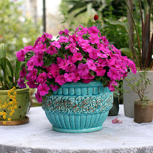 玫瑰花花盆陶瓷