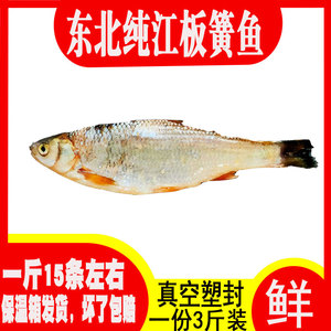 东北纯江板簧鱼野生江水板黄鱼淡水鱼类 真空塑封一份3斤野生