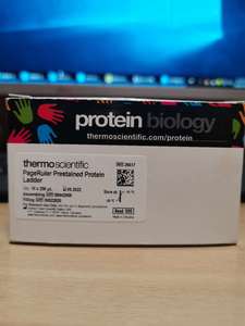 001人付款淘宝thermo预染彩虹蛋白marker10-250kd 赛默飞 26619/26620