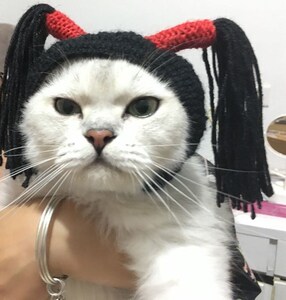假发小辫子头套装饰宠物狗狗泰迪比熊可爱造型搞笑搞怪帽子猫咪