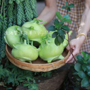 新鲜蔬菜云南特产水果苤蓝疙瘩大头菜现摘现发农家自种品兰