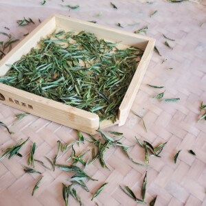 2021年新茶岳西茶叶安庆绿茶岳西翠兰翠尖500g散袋装特级云雾明前