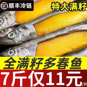 多春鱼新鲜多籽鱼满籽海鱼冷冻鲜活海鲜特大冻干人吃烧烤商用食材